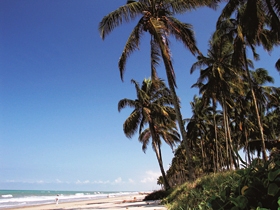 Playa Cocotales, Cojimies - Absolu Voyages